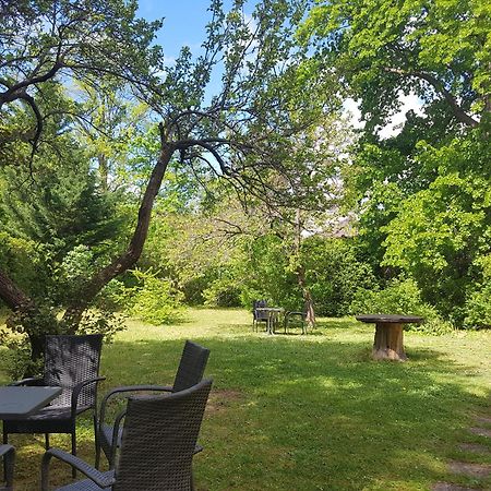 Pension Villa Inge Baden Eksteriør billede